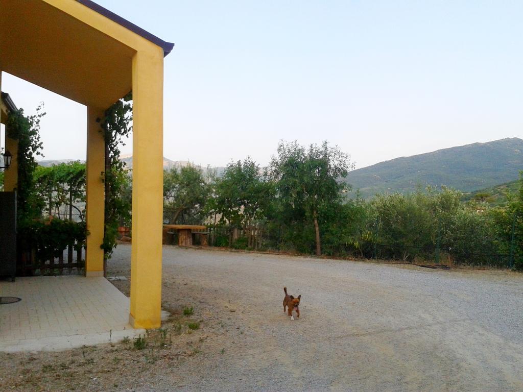 Villaggio Dei Balocchi 카스텔부오노 외부 사진